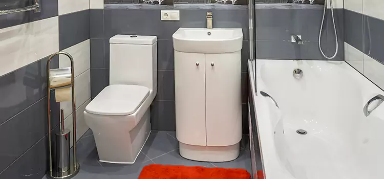 Hansgrohe Shaving Mirror Merced